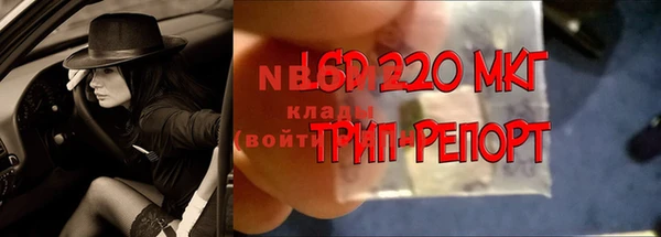 apvp Армянск